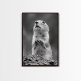 Prairie Dog, Wildlife Watch, Nature Moment, Framed Canvas Print, Whimsical Animal Wall Art, Nursery Decor, Cute Forest Creature