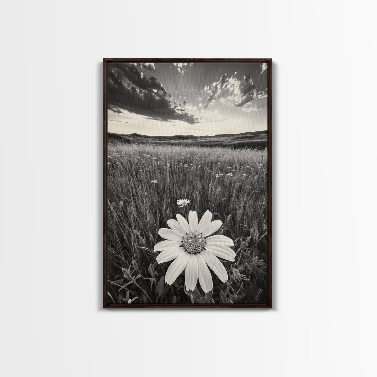 Wildflower Field, Daisy Bloom, Summer Meadow, Framed Canvas Print, Boho Botanical Wall Art, Bedroom Decor, Earthy Nature Photography