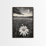 Wildflower Field, Daisy Bloom, Summer Meadow, Framed Canvas Print, Boho Botanical Wall Art, Bedroom Decor, Earthy Nature Photography