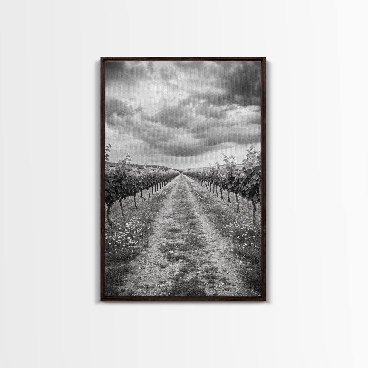 Vineyard Rows, Cloudy Skies, Countryside Path, Canvas Print, Farmhouse Wall Art, Kitchen or Dining Decor, Rustic Landscape Photo