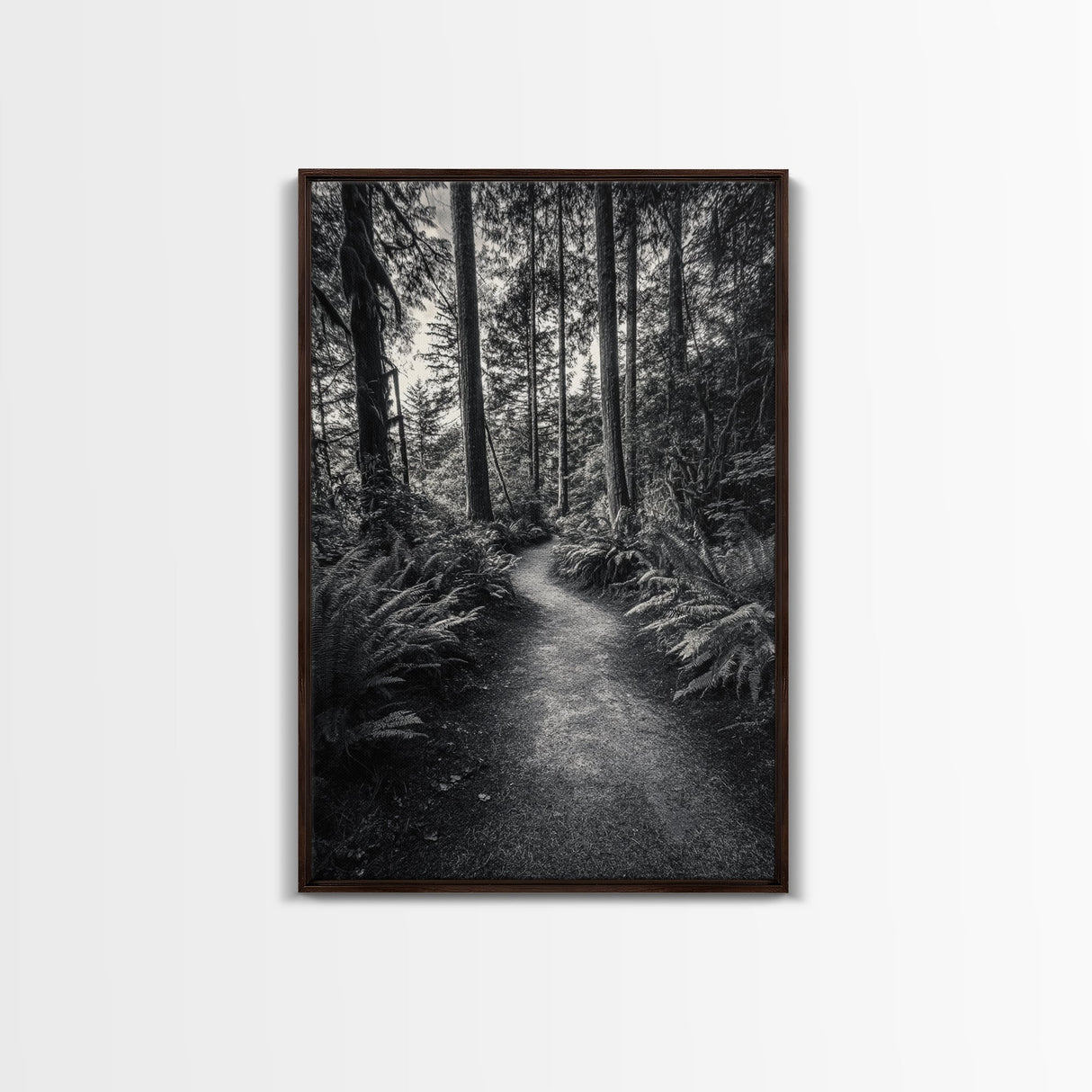 Fern Pathway, Enchanted Forest, Woodland Trail, Framed Canvas Print, Nature Walk Wall Art, Boho Bedroom Decor, Moody Landscape Style
