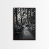 Fern Pathway, Enchanted Forest, Woodland Trail, Framed Canvas Print, Nature Walk Wall Art, Boho Bedroom Decor, Moody Landscape Style
