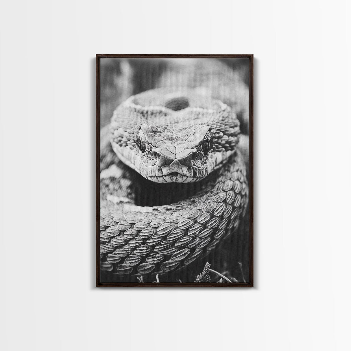 Rattlesnake Face, Coiled Closeup, Venomous Gaze, Canvas Print, Macro Wildlife Wall Art, Reptile Decor, Intense Black White Photography