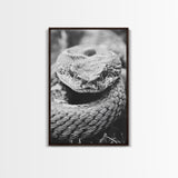Rattlesnake Face, Coiled Closeup, Venomous Gaze, Canvas Print, Macro Wildlife Wall Art, Reptile Decor, Intense Black White Photography