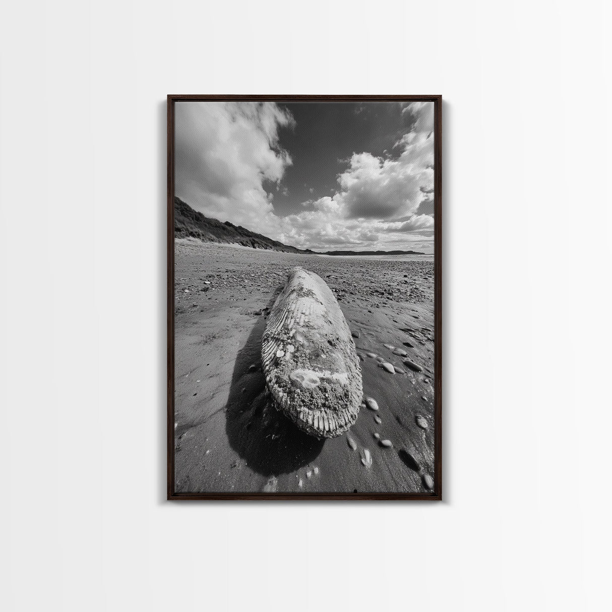 Whale Bone, Coastal Find, Ocean Relic, Framed Canvas Print, Seaside Wall Art, Beach House Decor, Nautical Minimalist Photography