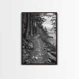 Forest Pathway Trail, Wilderness Escape, Rustic Nature, Black and White Framed Canvas Print, Cozy Cabin or Entryway Wall Art