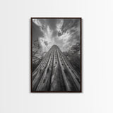 Tall Cactus, Desert Skies, Cactus Wall Art, Framed Canvas Print, Boho Desert Decor, Minimalist Nature Print, Bedroom Southwest Style