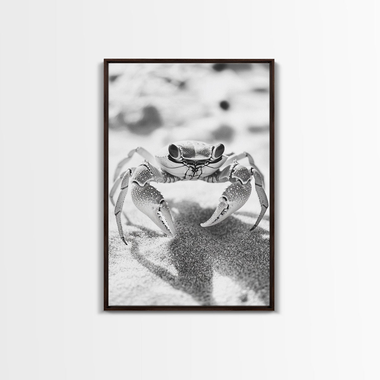 Sand Crab, Beach Macro, Ocean Critter Art, Framed Canvas Print, Coastal Bathroom Decor, Beach House Wall Art, Nature Close-Up