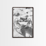Sand Crab, Beach Macro, Ocean Critter Art, Framed Canvas Print, Coastal Bathroom Decor, Beach House Wall Art, Nature Close-Up