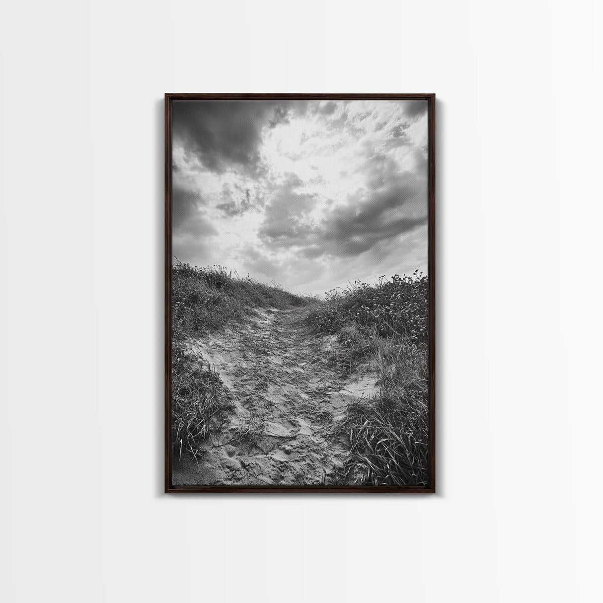 Sandy Trail, Ocean Path, Windy Grass, Moody Sky, Framed Canvas Print, coastal nature photography, hallway decor, rustic neutral art