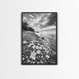 Flower Shore, Peaceful Beach, Moody Sky, Petal Scape, Framed Canvas Print, romantic beach art, bedroom decor, black and white floral print