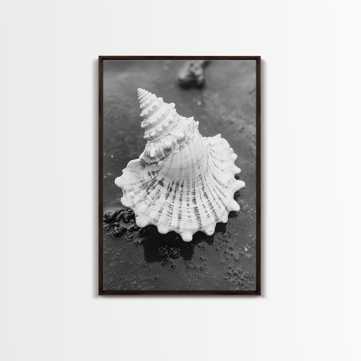 Spiral Shell, Beach Texture, Nature Closeup, Sea Whisper Framed Canvas Print, minimalist beach wall art, boho coastal kitchen decor
