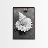 Spiral Shell, Beach Texture, Nature Closeup, Sea Whisper Framed Canvas Print, minimalist beach wall art, boho coastal kitchen decor