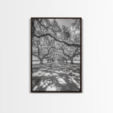 Oak Tree Tunnel, Southern Charm, Shaded Pathway, Timeless Trees Framed Canvas Print, farmhouse wall decor, hallway landscape art