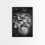 Seashell Pile, Textured Beach, Coastal Treasures, Natural Beauty Framed Canvas Print, bathroom decor, shell art, beach wall style