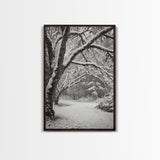 Snowfall Trees, Winter Forest, Nature Pathway, Canvas Print, Holiday Season Decor, Cozy Living Room or Cabin Wall Art
