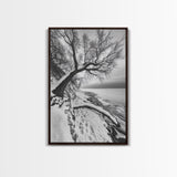 Coastal Snow, Barren Tree, Frozen Shoreline, Canvas Print, Serene Winter Decor, Entryway or Hallway Minimalist Wall Art