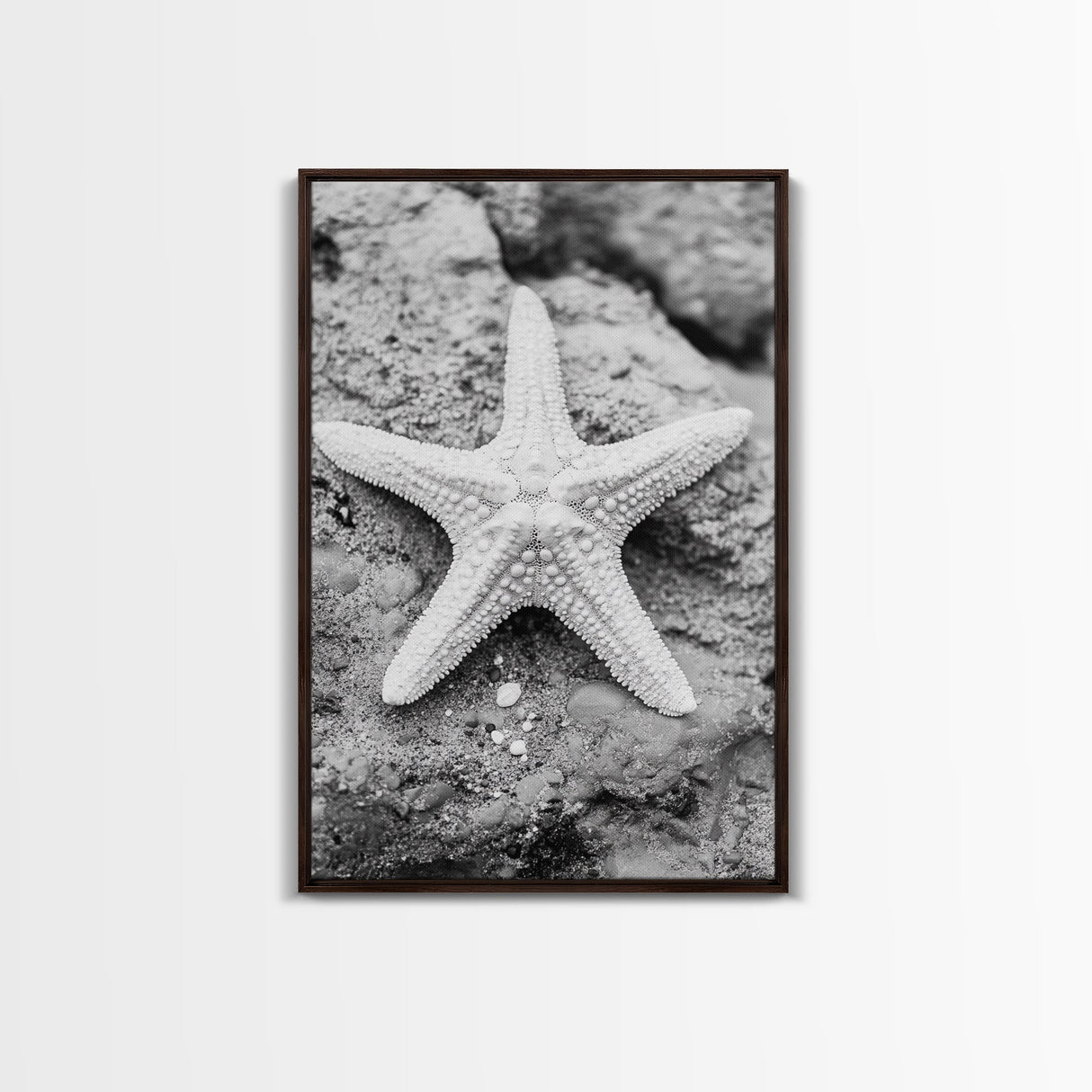 Starfish Closeup, Coastal Shell, Beach Texture, Framed Canvas Print, Bathroom or Ocean Nursery Decor, Minimal Beach Art