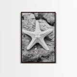 Starfish Closeup, Coastal Shell, Beach Texture, Framed Canvas Print, Bathroom or Ocean Nursery Decor, Minimal Beach Art