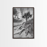 Palm Tree Beach, Coastal Dunes, Dramatic Sky, Framed Canvas Print, Tropical Wall Art, Boho Living Room Decor, Beach House Art