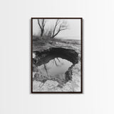Reflected Trees Pool, Black White Nature, Moody Autumn Wall Art, Rustic Minimalist Style, Framed Canvas Print, Entryway Home Decor
