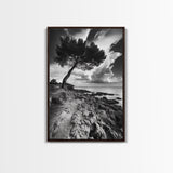 Wind Bent Tree, Coastal Cliff, Solitary Beauty, Canvas Print, Nature Photography Wall Art, Minimalist Earthy Decor, Moody Landscape