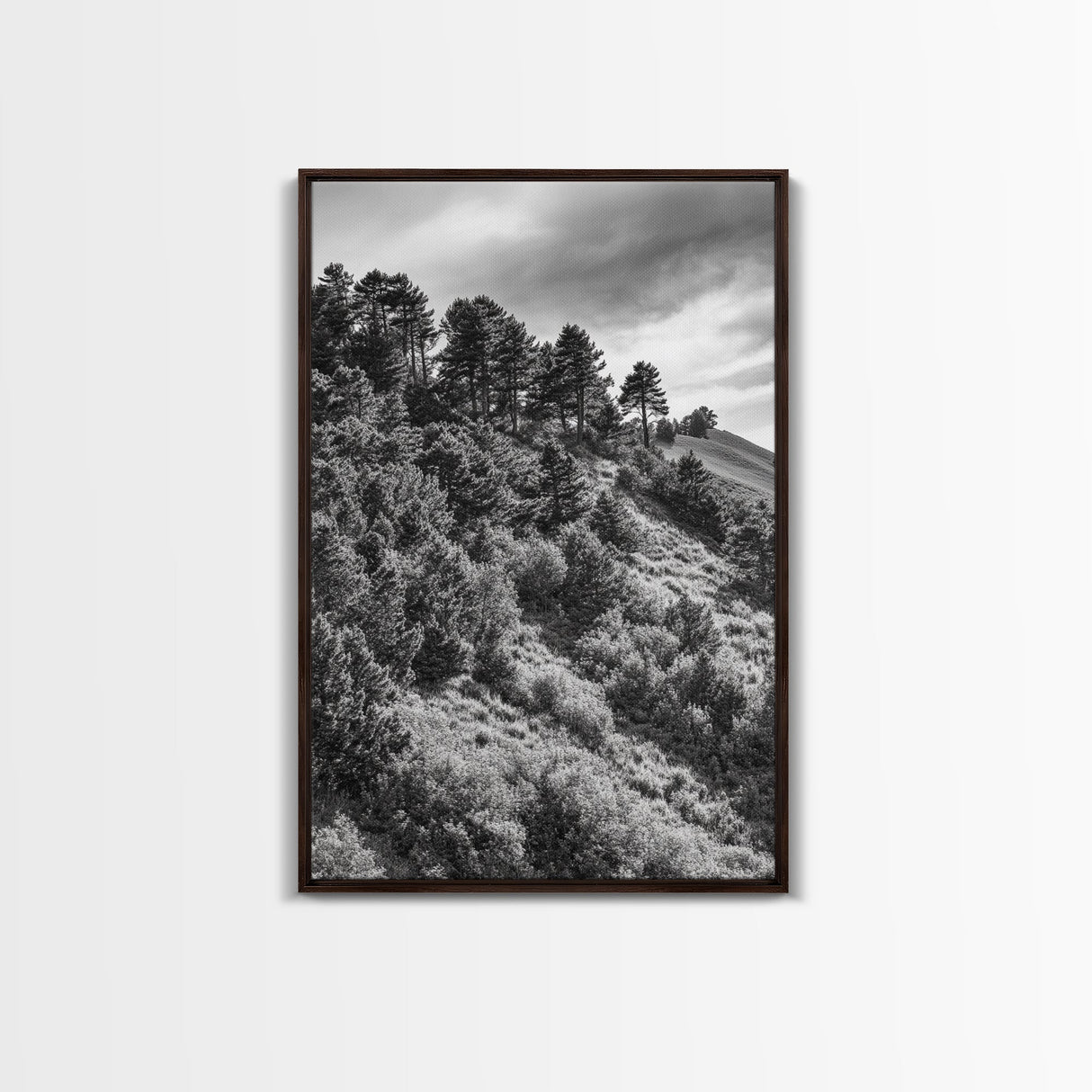 Hillside Forest, Peaceful Pines, Mountain Light, Framed Canvas Print, Nature Wall Art, Cabin Decor, Woodland Landscape Scene