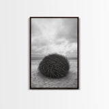Windswept Beach Nest, Natural Sculpture, Driftwood Ball, Solitude Scene, Canvas Print, Minimalist Wall Art, Neutral Bedroom Decor