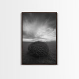 Twilight Field Nest, Tumbleweed Art, Desert Calm, Grassy Plains, Framed Canvas Print, Entryway Wall Art, Boho Nature Landscape