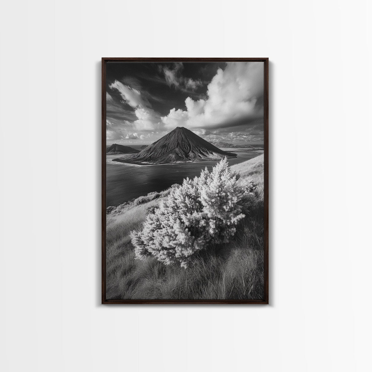 Majestic Volcano, Wild Grass, Black and White, Framed Canvas Print, Nature Photography, Office Decor, Moody Art, Rustic Wall Art