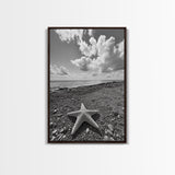 Starfish on Shore, Rocky Beach Scene, Cloudy Sky Horizon, Ocean Calm, Framed Canvas Print, Coastal Art, Bathroom Wall Decor