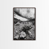 Desert Storm, Cactus Scene, Black White Art, Canvas Print, Southwest Wall Art, Earthy Tones Decor, Boho Style, Entryway Wall Accent