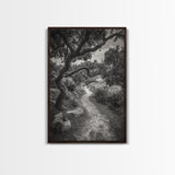 Forest Path, Twisting Trees, Nature Trail Scene, Framed Canvas Print, Earthy Wall Art, Boho Woodland Decor, Entryway or Hallway Accent
