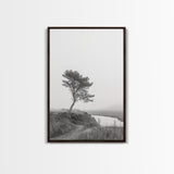 Leaning Tree Path, Soft Fog Scene, Calm Landscape, Canvas Print, Serene Entryway Wall Art, Nature Photography, Minimalist Decor