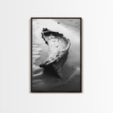 Driftwood Shore, Tidal Beauty, Washed Wood, Canvas Print, Coastal Beach Wall Art, Minimalist Bathroom Decor, Black and White Ocean Scene