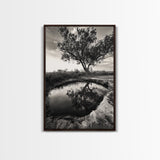 Tree Reflection, Still Water, Peaceful Nature, Framed Canvas Print, Tranquil Wall Art, Rustic Bedroom Decor, Black and White Photography