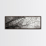 Macro Insect Wing, Abstract Nature Texture, Modern Neutral Wall Decor, Framed Canvas Print, Office Art, Monochrome Macro Photography