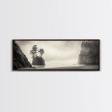 Foggy Beach, Coastal Pines, Ocean Cliffside, Nature Escape, Framed Canvas Print, Moody Wall Art, Living Room Decor, Pacific Northwest Style