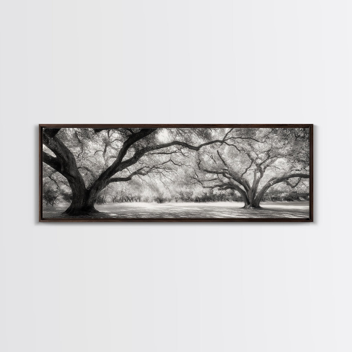 Sprawling Trees, Oak Forest, Sunlit Canopy, Majestic Branches, Canvas Print, Nature Wall Art, Boho Decor, Living Room Statement Piece
