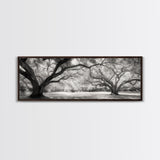 Sprawling Trees, Oak Forest, Sunlit Canopy, Majestic Branches, Canvas Print, Nature Wall Art, Boho Decor, Living Room Statement Piece