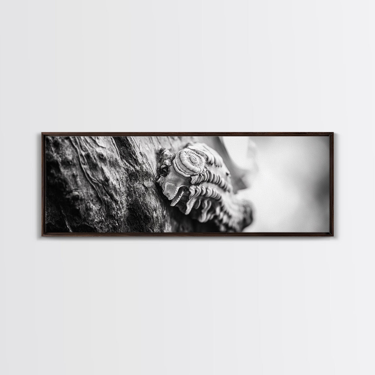 Tree Fungus, Natural Texture, Close-Up Growth, Wood Grain, Framed Canvas Print, Nature Wall Art, Boho Bedroom Decor, Botanical Print