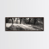Sunrays Meadow, Tree Light, Golden Hour, Framed Canvas Print, Fall Living Room Art, Rustic Nature Decor, Warm Toned Landscape