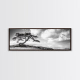 Windswept Tree, Coastal Nature, Ocean Cliff View, Framed Canvas Print, Zen Wall Art, Minimalist Decor, Calm Living Room Accent