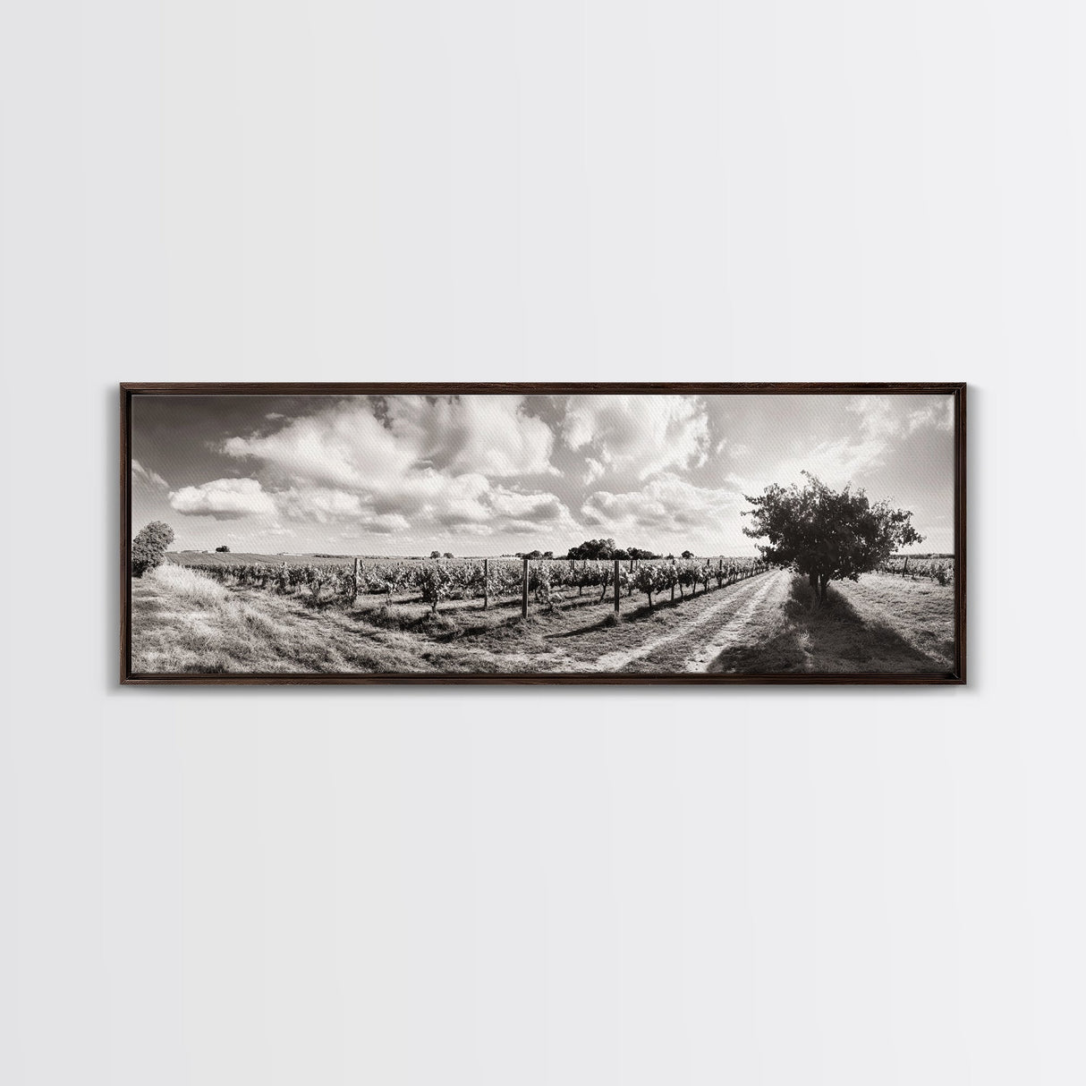 Vineyard Rows, Sunny Fields, Cloudy Sky, Canvas Print, Rustic Country Decor, Dining Room Wall Art, Wine Country Landscape, Farmhouse Style