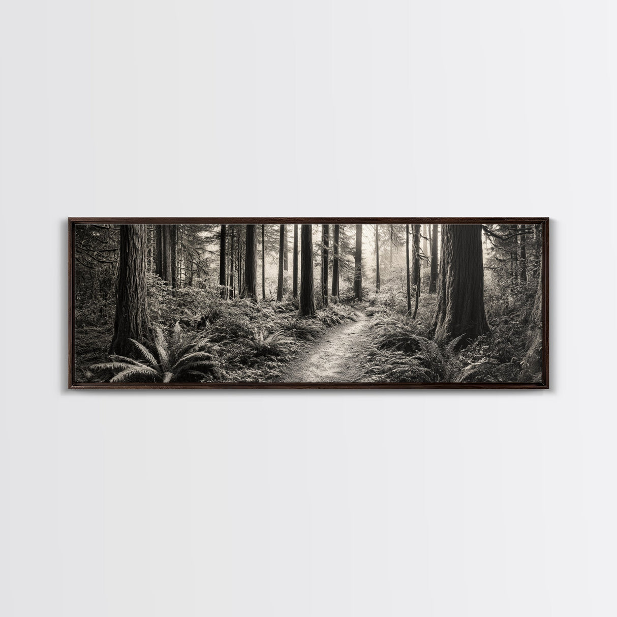 Redwood Forest, Nature Path, Fern Understory, Framed Canvas Print, Moody Nature Photography, Office Wall Art, Forest Bathing Vibes
