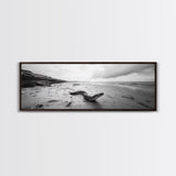 Snake On Beach, Coastal Wildlife, Dramatic Black and White, Framed Canvas Print, Nature Wall Art, Minimalist Decor, Office Statement Art