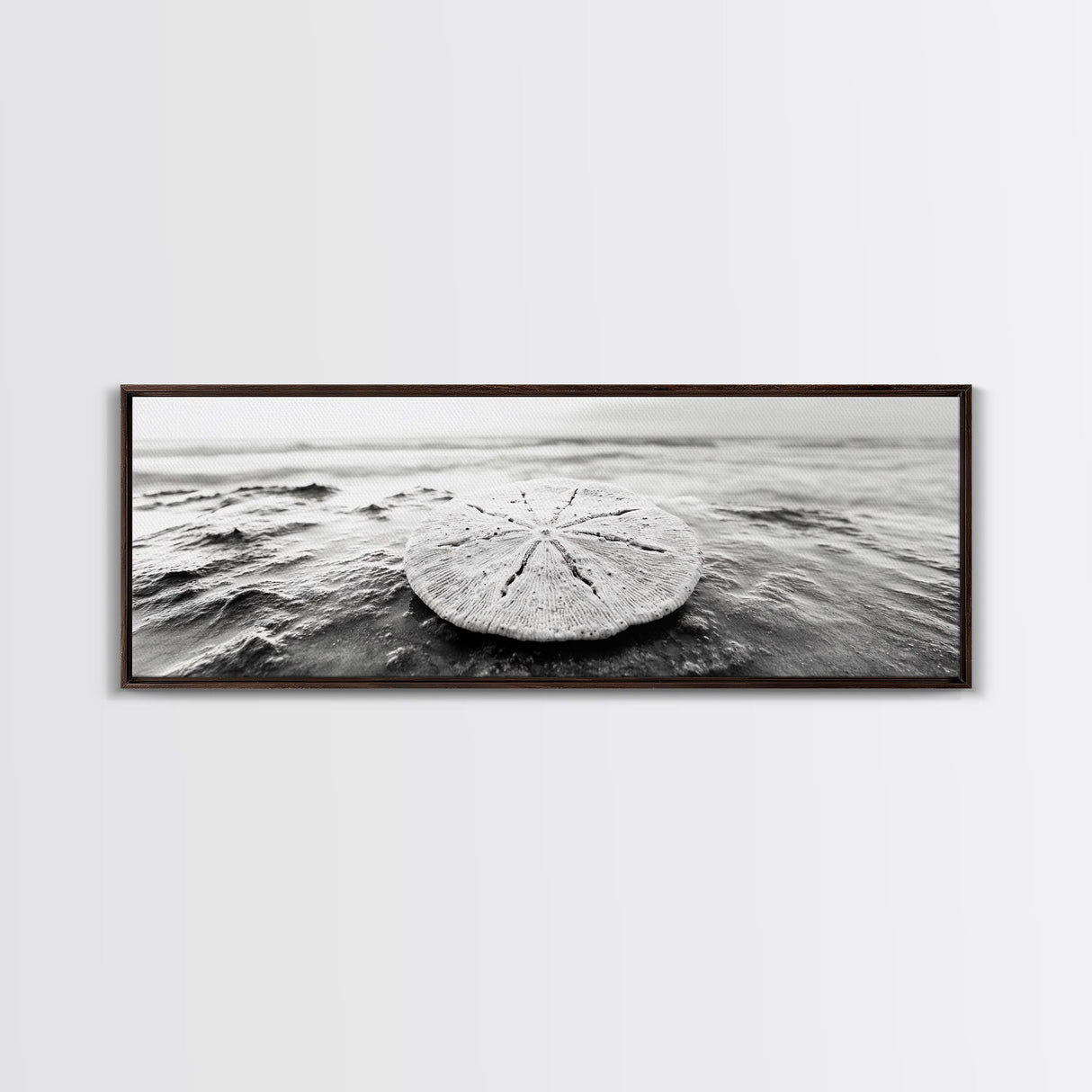 Sand Dollar, Ocean Shore, Calm Waters, Canvas Print, Coastal Wall Art, Minimalist Bathroom Decor, Seashell Beach Photography