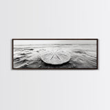 Sand Dollar, Ocean Shore, Calm Waters, Canvas Print, Coastal Wall Art, Minimalist Bathroom Decor, Seashell Beach Photography