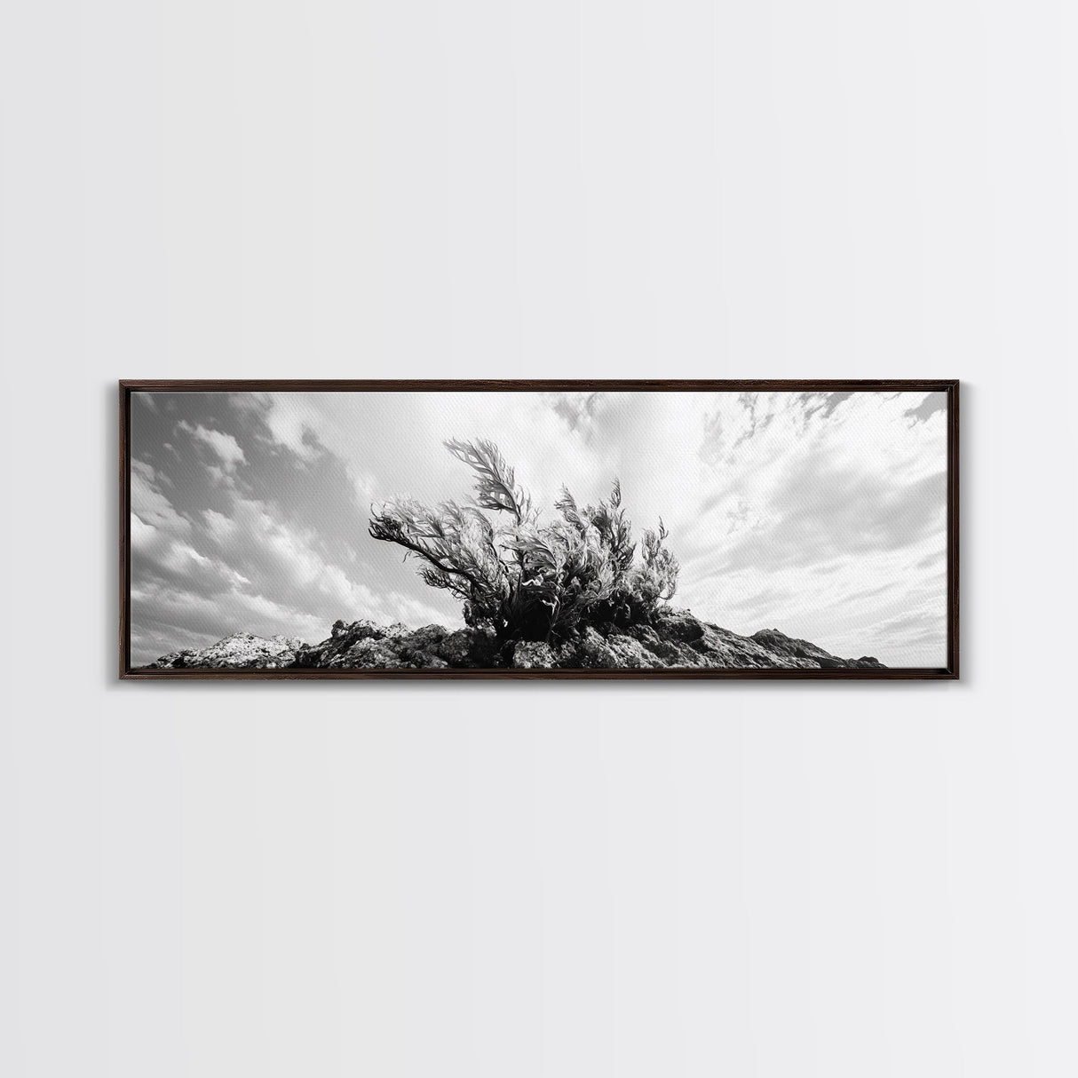 Windswept Kelp Rock, Ocean Botanical, Nature Inspired Canvas Print, Boho Style Art, Bathroom Wall Art, Sea Life Photography
