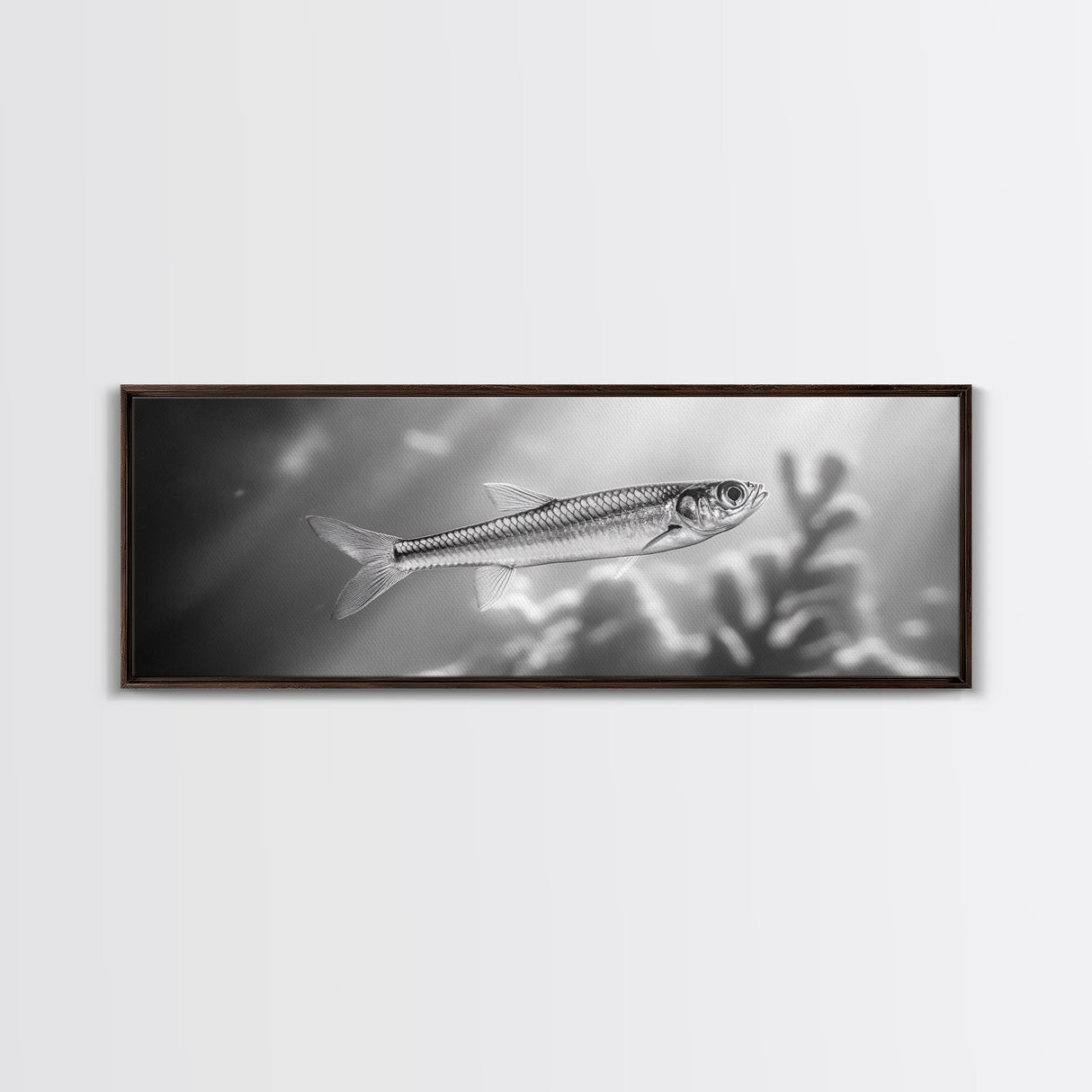 Silver Fish Closeup, Underwater Life, Marine Wildlife Art, Black and White Framed Canvas Print, Coastal Bathroom or Den Wall Art